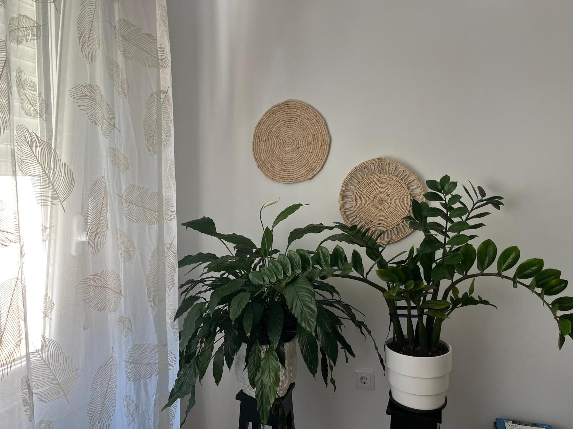 Casablanca 95 Apartment Vigo Luaran gambar